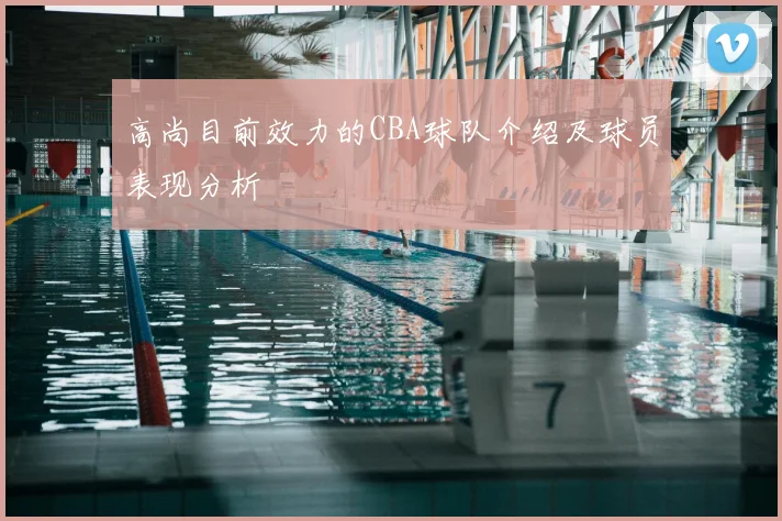 高尚目前效力的CBA球队介绍及球员表现分析