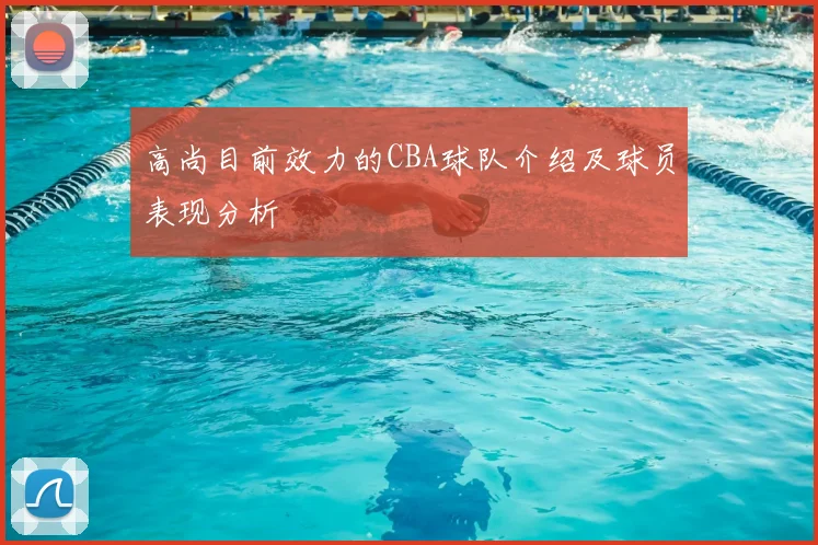 高尚目前效力的CBA球队介绍及球员表现分析