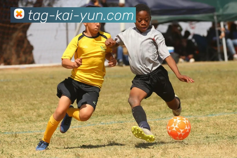 开云平台生态图